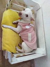 Ropa de invierno para perros, chaquetas de ante, chaleco polar cálido, pequeño abrigo de perro, motocicleta, abrigo, ropa, abrigos para mascotas