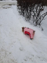 Puppy-Boots Pet-Shoes Lovely Dogs Snow Anti-Slip Zipper Winter Warm Denim Lets Casual