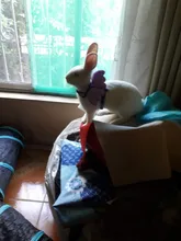 Arnés de nailon pequeño para perros, 10 colores, bonito arnés a prueba de Escape para gatos, conejos, Chihuahua y cachorros