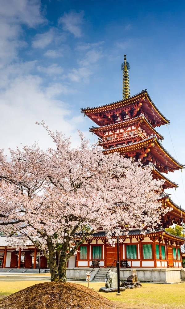 日本 《日本》封面图片