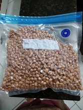 Bags Vacuum-Packaging-Tools Vide Manual-Pump Vacuum-Sealer Food-Saver Kitchen Reusable