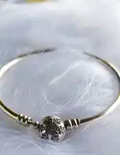 925-Sterling-Silver Bracelet Bangles Jewelry Women Chain Snake Heart Blue Eye No Snowflake