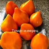 Изображение товара 0