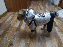 Jumpsuit Pet-Costumes Cotton-Padded Silver-Color Dogs Waterproof Winter Fashion for Hoodie