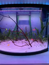 Aquarium-Lights Submersible Diving-Lighting Remote-Control-Lamp Waterproof LED RGB Amphibious