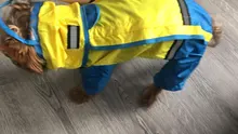 Jumpsuit Raincoat Pet-Cloak Teddy Waterproof-Jacket HOOPET Dogs Chihuahua for Small Cat