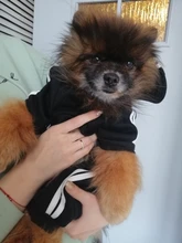 Traje para mascotas pequeñas y medianas, mono para cachorros, ideal para bulldog francés, chihuahua o pug