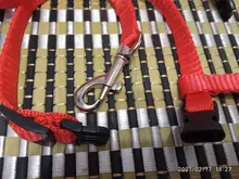 Arnés de nailon para Collar de Mascota, correa ajustable de tracción, cuello Halter de correa para animales, gatitos y mascotas, patrón aleatorio