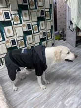 Dog-Coat Winter HOOPET for Dogs Clothing Warm Christmas Big