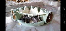Túnel para cama de gato, tubo extraíble plegable para mascotas, juguetes interactivos con bolas de felpa para cachorros