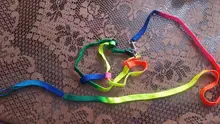 Collar ajustable para mascotas y gatos conjunto de Correa y arnés para gatos y perros, mascotas pequeñas, arcoiris de nailon, conejo, correa para perros Katten Halsband