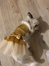 Dog-Dress Dogs-Skirt Princess Dog Summer Dot for York