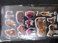 Pegatinas con dibujos animados en 3D para niños, 10 hojas diferentes, divertido para juguete álbum de recortes, teléfono, portátil, regalos, animales, tigre