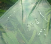 Tenvellon táctico pluma Suministros de defensa Personal paquete Simple de acero de tungsteno de Personal protección seguridad herramienta de defensa EDC