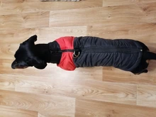 Coat Jacket Puppy-Vest Dogs Waterproof Winter Medium Pet-Dog Zipper Small Large Warm