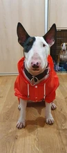 Jacket Rain-Coat Labrador Alaska Puppy-Doberman Waterproof Dogs Large Medium Husky TLC02