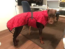 Jackets Dog-Coats Outdoor Winter Pet-Dog Dogs Large Medium for Warm Clothing Kurtka Ubranka