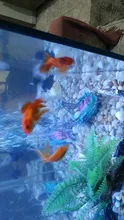 Large Aquarium Decoration Shipwreck Fish-Tank-Decor Boat Plactic Air-Split