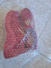 2021 zapatos casuales de las mujeres de primavera otoño deportes damas casuales de plataforma zapatillas de Running de la cremallera de las mujeres de la moda Zapatos