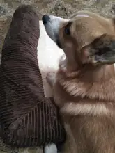 Big Dog Couch Sofa-Beds Kennel Cushion German Shepherd Large Puppy Pet-Cat-Dog Small