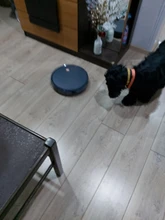 Neatsvor-Robot aspirador X500 3000PA , aspira el pelo de mascota, limpia, friega y barre la casa, con recarga automática, 3 en 1