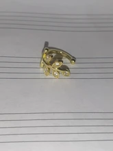 Pendiente de hoja de Metal para mujeres y niñas, Piercing para cartílago, orejera sin agujero, 1 Uds. Gran oferta