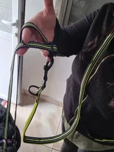 Adjustable Dog Leash Lead Multi-Function Pet-Training Reflective Truelove Hand-Free Walk