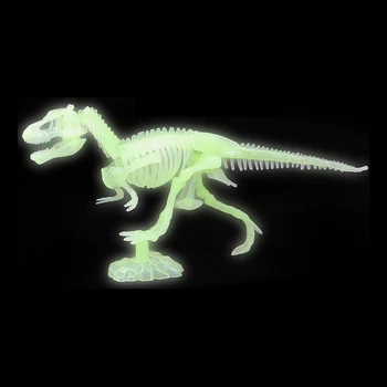 

Skeleton Fluorescent 117488