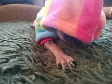 Mono para Perro suave y cálido, pijama de lana para mascotas, Ropa para perros, abrigo, chaqueta, Chihuahua, Yorkshire