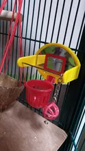 Birds Toys Parrot Basketball Parakeet Chew-Toy Pet-Supplies Mini Props Hoop Funny