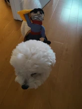 Novelty Halloween Dog Costumes Pet Clothes Cowboy Dressing up Jacket Coats for Dogs Funny