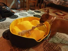 3D Washable Kennel Pet Bed For Dogs Cat House Dog Beds For Large Dogs Pets Products For