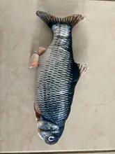Fish-Toys Simulation Biting-Supplies Electric Playing Dog-Cat-Chewing 30CM for Pet-Cat-Toy
