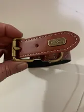 Dog-Collar Engraved Reflective Dogs Personalized Medium Padded Pet for Small Large