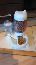 Automatic Feeder Bowl Food-Feeding-Container-Supplies 528ml-Bottle Drinking-Water Kitten
