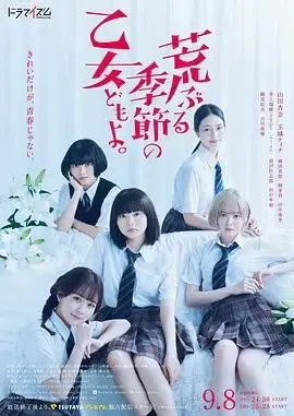 骚动时节的少女们啊真人版的海报