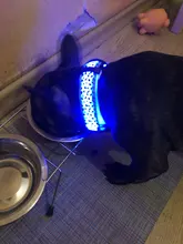 Neck-Belt Pet-Collar Led-Light Flashing Glowing Leopard Night-Safety Nylon Adjustable