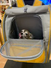 Bolsa de Gato transpirable para mascotas, cómoda y portátil, para exteriores, resistente al desgaste y duradera, plegable, para hombro