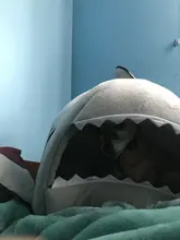 Dog House Shark Washable House Pet Bed Shark Dog Bed Cat Beds & Mats House Sleeping Sofa