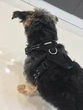 Truelove Pet Dog Harness Large Small For Pitbull Reflective Safety Harness For Dogs