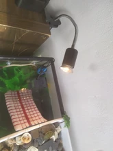 Conjunto de lámpara para reptiles UVA + UVB 3,0, con soporte de bombilla con Clip y termómetro, higrómetro, Tortuga, Kit de lámpara de calentamiento de base