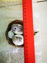 Cage-Set Nest Bird Gardening-Decoration Desktop-Ornament 9cm Simulation Photography-Props