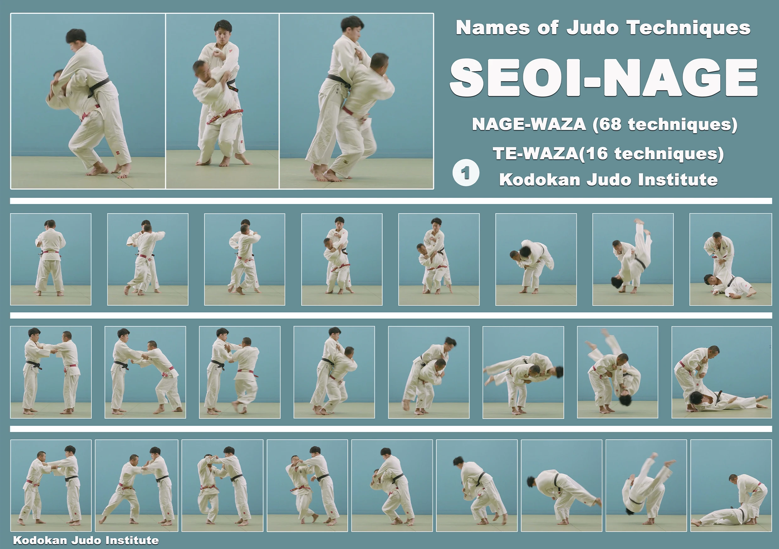 Kodokan Judo Throwing Techniques