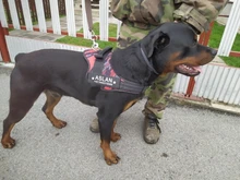 K9 Harnesses For Dogs Customizable Dog Name label Reflective Adjustable Dog Harness Vest