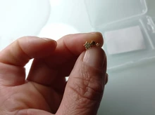 Canner-pendientes tipo botón de plata fina para mujer, 1 Uds., hélice, corazón, estrella, Luna, Piercing, joyería fina, cartílago W5, 925