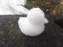 Clip creativo de fabricante de bolas de nieve para exteriores, dibujos animados divertidos en forma de pato para niños, herramienta de molde de arena para nieve, invierno, 1 Uds.