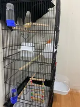 2 uds pájaro de agua alimentador de bebedero con Clip pájaro suministros botella de dispensador de copa cuencos para mascotas jaula de loro