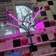 LED Grow Light USB Phyto Lamp Full Spectrum Grow Tent Complete Kit Phytolamp for Plants