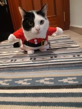 Christmas Cat Clothes Halloween Clothes For Cats Costume New Year Outfit Pet Cat Clothes