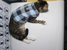 Vest Clothing Costume Pet-Jacket Fleece Doggy Puppy Animal Winter Warm for Soft-Plaid